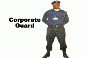 corporate gal corporate gal