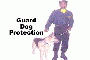 guard dog gal guard dog gal